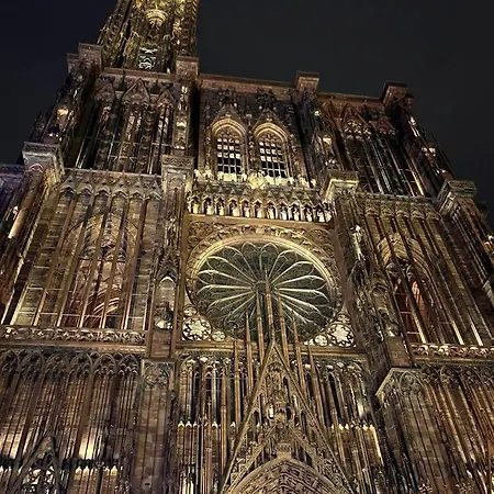 Apartment Grand Aux Portes De Strasbourg *